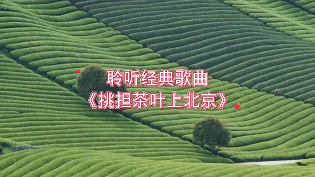 聆听经典歌曲《挑担茶叶上北京》