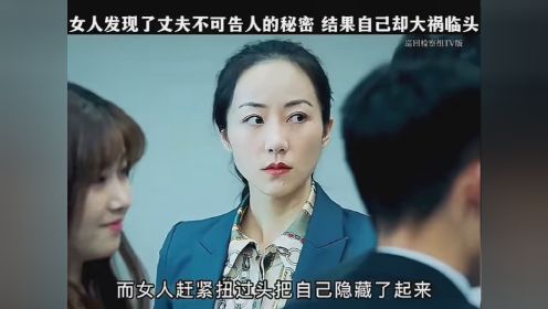 #巡回检察组TV版 女人发现了丈夫不可告人的秘密，结果自己却大祸临头