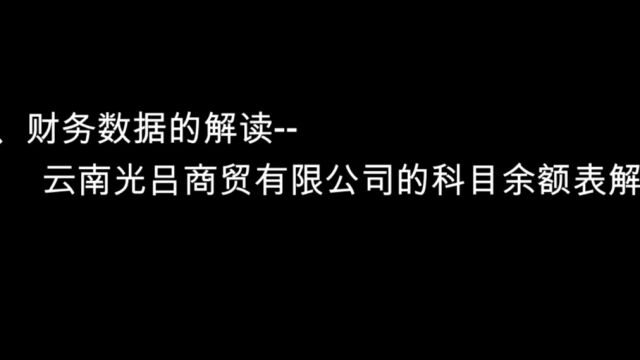 财务数据的解读云南光吕商贸有限公司的科目余额表解读1