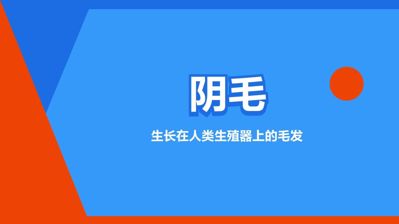 阴毛 