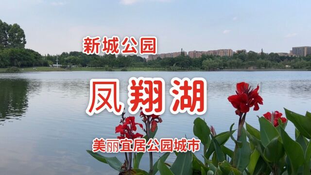 成都新城凤翔湖公园,骑行散步好去处,美丽宜居公园城市新形态