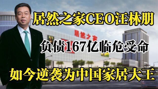 居然之家汪林朋,负债167亿临危受命,如今逆袭为中国家居大王