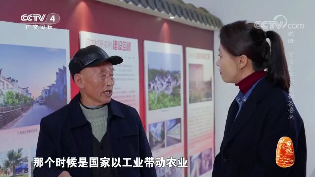 全网收视第二!央视聚焦内江的这个精彩视频,你看了吗?