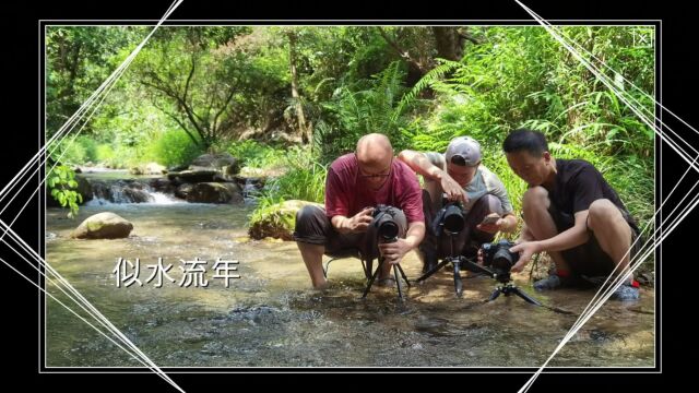 瓜哥微距生态微距高级班