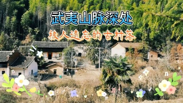 不要门票的江南秘境:武夷山脉深处被遗忘的古村落,宛如世外桃源