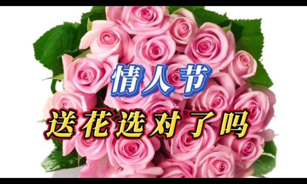 情人节送花,你选对颜色了吗?送花的学问