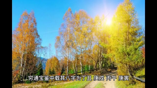 丙生戌月之晚清名相沈桂芬八字分析:从旺格行佳运而贵