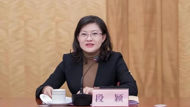 谁是80后女厅官背后的隐秘推手