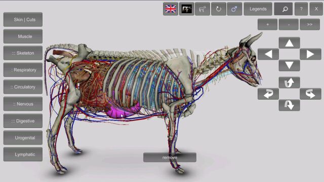 兽医牛体解剖软件,3D动物解剖学实验教学软件,牛3D使用演示视频