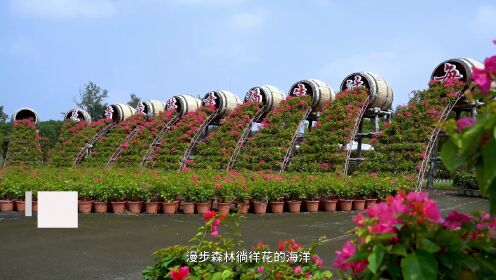 2023上海崇明森林旅游节，邀请您前来感受崇明独有的生态之美！ 