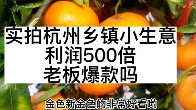 实拍杭州乡镇小生意,利润高达500倍,老板赚爆了