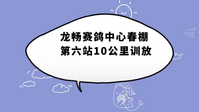 山东龙畅赛鸽中心春棚第六站10公里训放