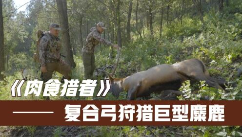职业猎人秀操作,用复合弓狩猎两只麋鹿,轻松获得几百斤食物!_高清1080P在线观看平台_腾讯视频