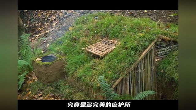 外网播放量2亿男生减速带系列 荒野建造