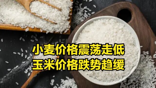 小麦价格震荡走低,玉米价格跌势趋缓,2月18日:猪粮价预警