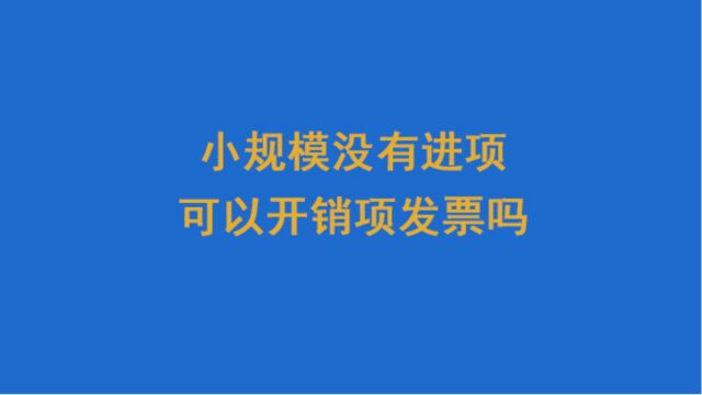 小规模没有进项可以开销项发票吗