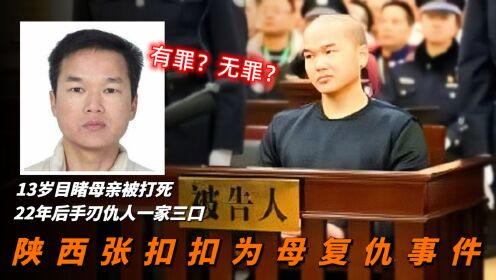 13岁目睹母亲被打死,22年后手刃仇人三口,他究竟有罪还是无罪?_高清1080P在线观看平台_腾讯视频