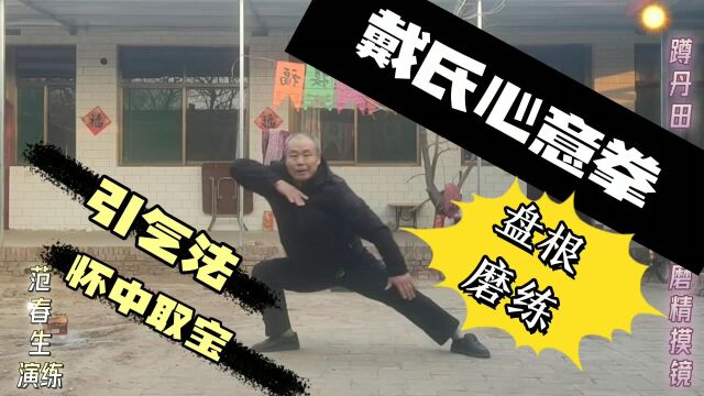 戴氏心意拳蹲丹田 手法 盘根磨练 祁县范春生演练230209