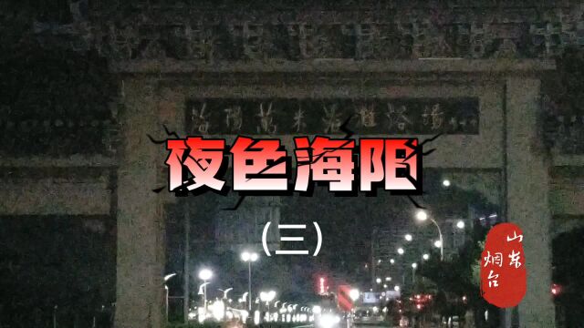 海阳旅游度假区四季分明,气候宜人,冬暖夏凉.夜色海阳(三)