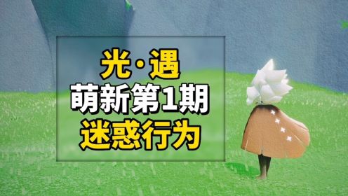 sky光遇：萌新迷惑行为，看到小黑就点火，追着人加好友