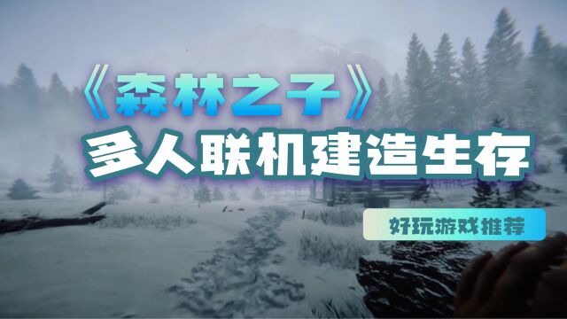 《森林之子》好玩吗?值得买吗?一款上线就把steam搞瘫痪的游戏