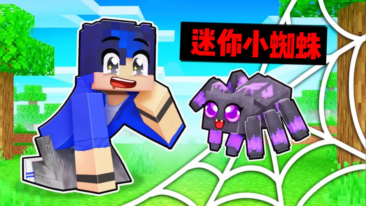 我的世界:小米蕉变身迷你小蜘蛛帮助伙伴,却被当成坏蛋被驱赶