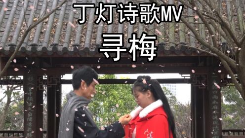 丁灯诗歌MV专辑《春天恋曲》NO.2  《寻梅》