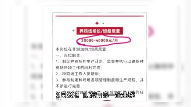 青岛一企业月薪4万招人去非洲养鸡,企业回应:男女不限