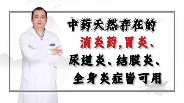 中药天然存在的消炎药,胃炎、尿道炎、结膜炎、全身炎症皆可用