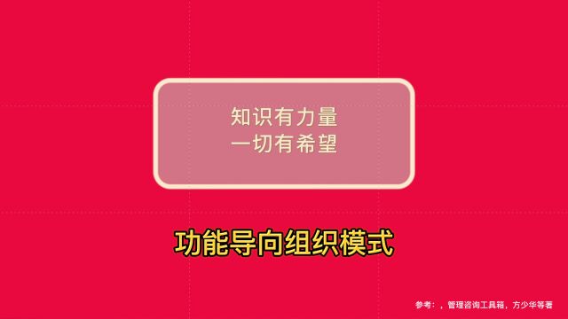 德理创新进化普及系列——功能导向组织模式