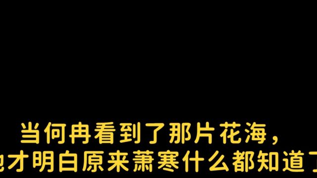 《夏花》当何冉看到那片花海时,她才明白原来萧寒什么都知道了