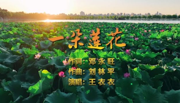 一朵莲 花作词:邓永旺 作曲:刘林平 演唱:王衣衣 视频:王娟