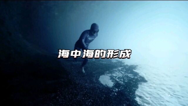 你敢相信吗?海底河流真的存在,你遇到过这样的海中海吗?