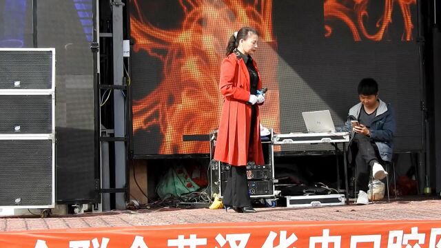 豫剧舞台表演