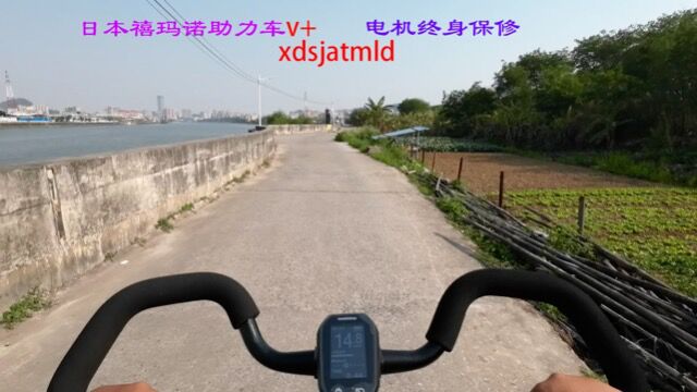 日本禧玛诺e6002助力车限速32km续航60125km电机终身保修