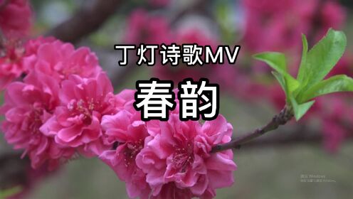 丁灯原创诗歌MV专辑《春天恋曲》NO.5《春韵》