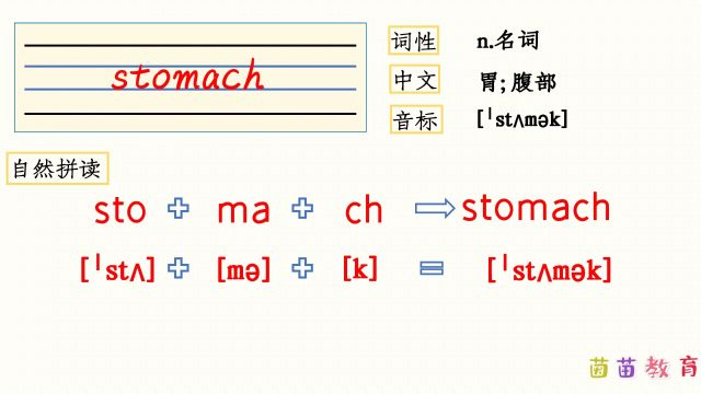 自然拼读:stomach