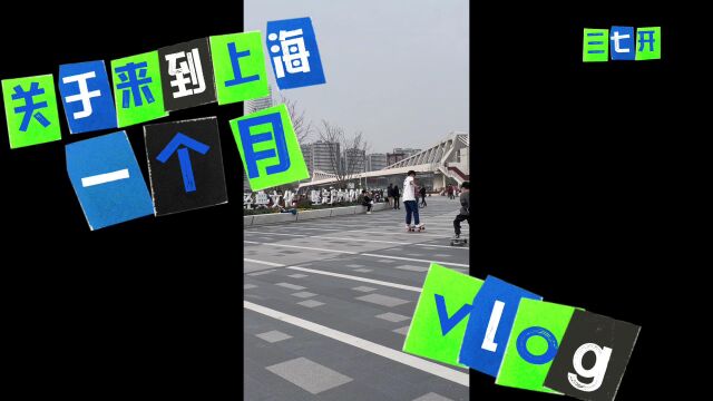 三七开的vlog