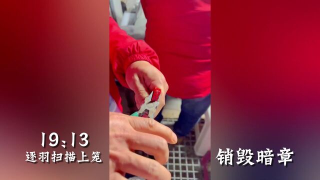 第10届云南东荣春棚预赛视频