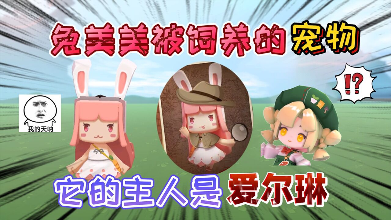迷你世界:兔美美是被饲养的"宠物"它的主人是爱尔琳,证据确凿