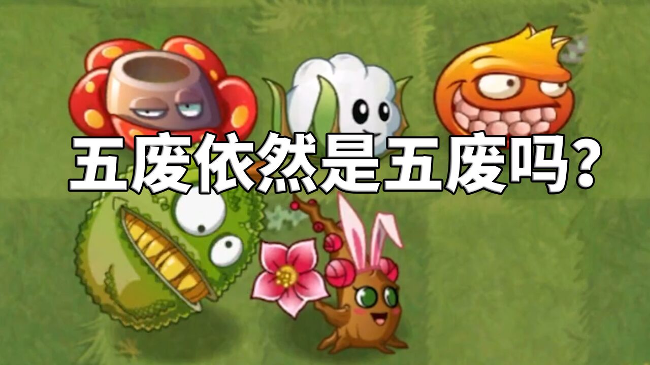 植物大战僵尸2:当前版本中,五废依然是五废吗?
