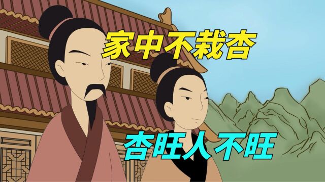 俗语“家中不栽杏,杏旺人不旺”,为何会有这种说法?有何道理?