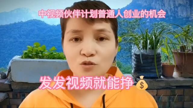 中视频伙伴计划普通人创业的机会,你参与了吗?#短视频创业 #自媒体创业 #口播短视频知识分享