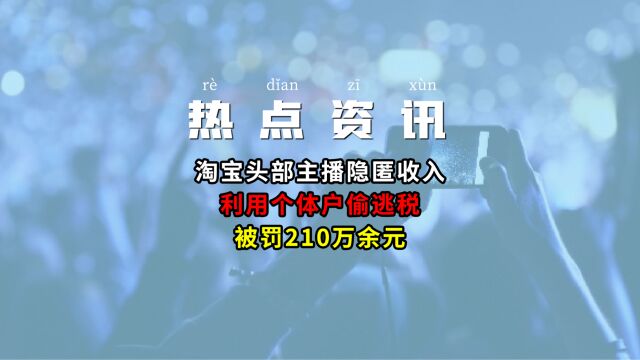 淘宝头部主播隐匿收入、利用个体户偷逃税被罚210万余元