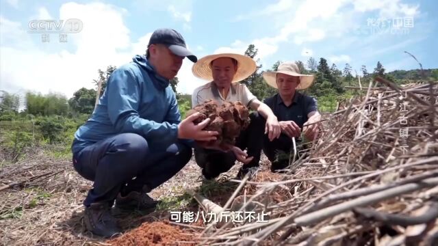 又上央视了,这回整整1小时!聚焦龙岩这里……