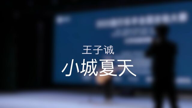 2023全国流行乐手吉他大赛 [小城夏天]王子诚