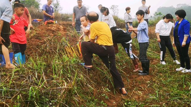 广西桂平农村清明节拜山习俗