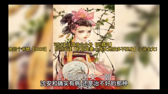 权臣宠妻:小医女她技多不压身》盛兮沈安和全文