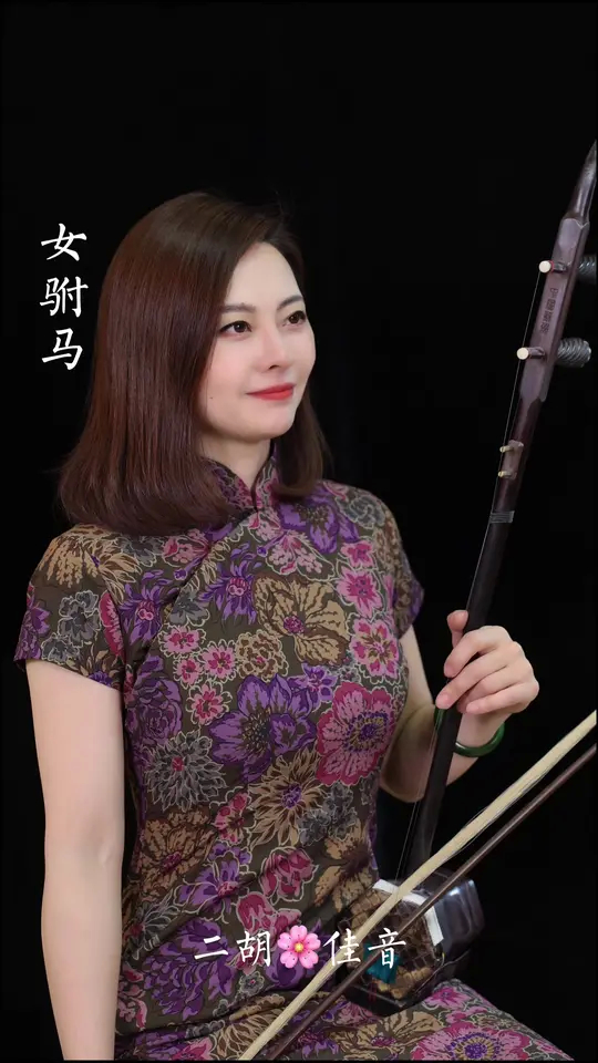 二胡演奏视频 《女驸马》经典黄梅戏,致敬传统文化!