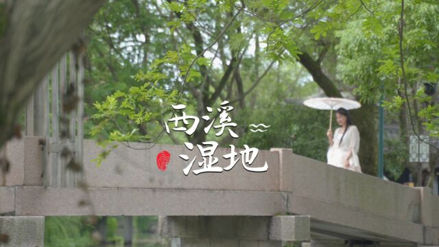 大美东方,大美西溪.西溪且留下,且听一曲古筝《花西子》~